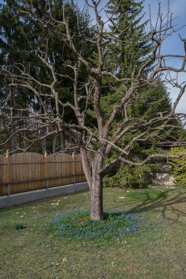 Garten Appartement Harmony Finkenstein am Faaker See Exteriör bild
